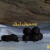 معمول ترف